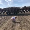 Cody Brock - @cmbrock84 - TikTok