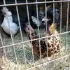 Cody Burdette - @cody.burdette7 - TikTok