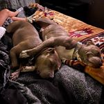 Cody Burris - @435crown4 - Instagram