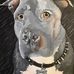 Cody Burris - Facebook