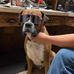 Cody Burris - Facebook