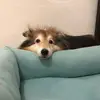 codybuttons - @sleepinginthegarage - TikTok