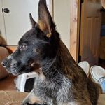 Cody Casto - @casto1519 - Instagram