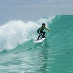 Cody Cattle - @cody_cattle - Instagram