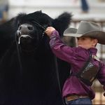Cody's Cattle Service - @codyscattleservice - Instagram