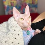 Lucifer - @cody_cat_travel - Instagram