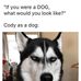 Cody Cave - Facebook