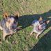 Cody Cecil - Facebook
