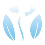 Cody Chiropractic Wellness Center - Facebook