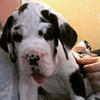Cody_da_center - @codycavanaugh6 - TikTok