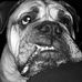 Cody Chadwick - Facebook