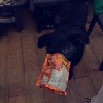 Cody Sims - @cody_chance_sims - Instagram