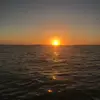 Cody_chartier - @cody_chart - TikTok