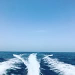 Cody Chartier - @chartier_cody - Instagram