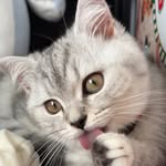 Cody Butter Cheeks - @codybuttercheeks - Instagram