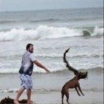Cody Cheek - @aka__ace - Instagram