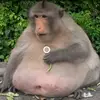 CodyClappinKensCheek - @codyclappinkenscheek - TikTok