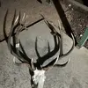 Cody Cheney - @codycheney1 - TikTok