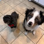 @chew_cody_ - Instagram