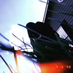 Cody - @cody_chewbacca - Instagram