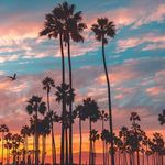 Cody cleary - @cleary7045 - Instagram