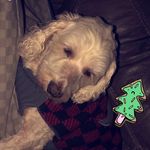 cody🥴 - @cody._.cloud - Instagram