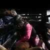 🫡🤑bullridin/ropinFOOL🤑🫡 - @codycluff - TikTok