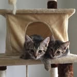 Cody And Clyde - @cody.clyde2 - Instagram