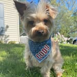 Cody - @cody_clyde_hoffman - Instagram