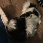 Cody Coefield - @codycoefield - Instagram