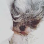 cody compton - @codycompton77 - Instagram