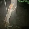 Cody Compton - @compton1496 - TikTok
