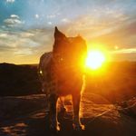Cody Couch - @cody19couch - Instagram