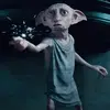 Dobby - @cody_davey - TikTok