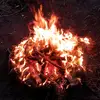 Itsyaboycody289 - @codydavey - TikTok