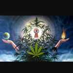 Cody Desmond - @__cody_diamond_432hz - Instagram