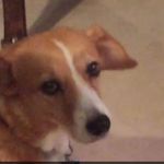 Cody Dougherty - @living_like_cody - Instagram