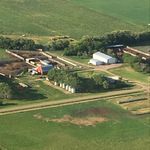 Cody Doyle - @doyle_farms_1934 - Instagram