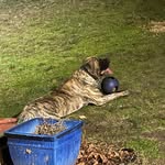 Cody Doyle - @codydoyle31 - Instagram