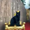 c12345 - @codyeager - TikTok