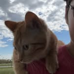 Cody Erickson - @soxostential - Instagram