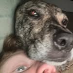 Cody Fields - @cody_b_fields - Instagram