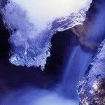 Crambe - @codygaither059 - Instagram