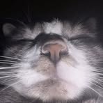 Bbl Cody - Facebook