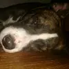 cody.george - @cody.george47 - TikTok