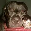 cody.george - @cody.george3 - TikTok