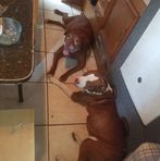 Cody Goodman - Facebook