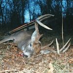 Cody Goodman - @country_boy8423 - Instagram