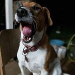 Cody Graves - @cody.graves.3975012 - Instagram