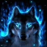 Cody Gross - @wolfleader879 - Instagram